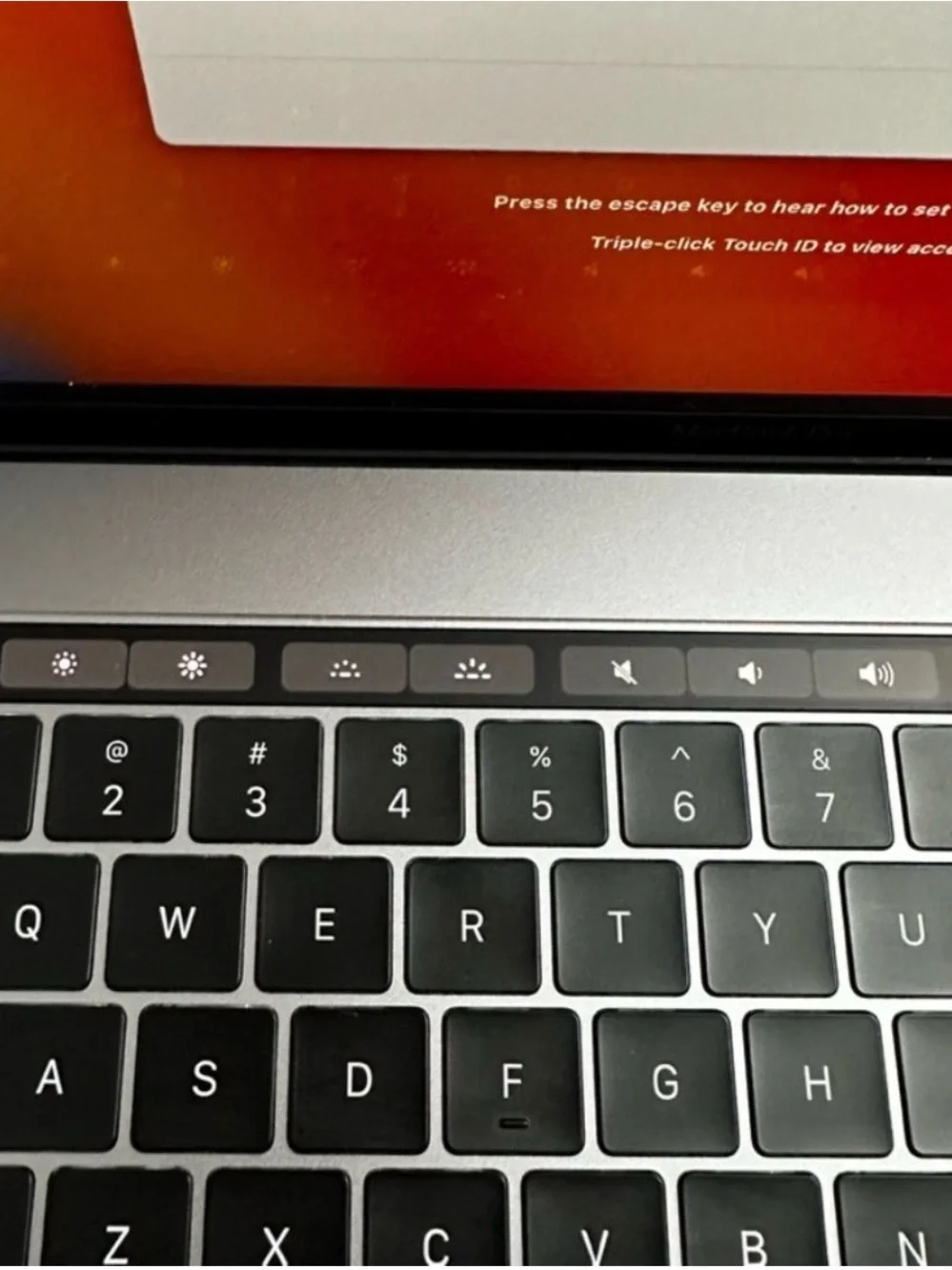Apple MacBook Pro 15.4
